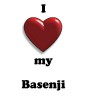 Thumbs/tn_new heart Basenji.jpg