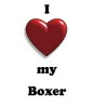 Thumbs/tn_new heart Boxer.jpg