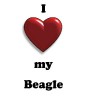 Thumbs/tn_new heart beagle.jpg