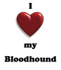 Thumbs/tn_new heart bloodhound.jpg