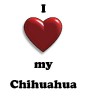 Thumbs/tn_new heart chihuahua.jpg