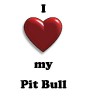 Thumbs/tn_new heart pit bull.jpg